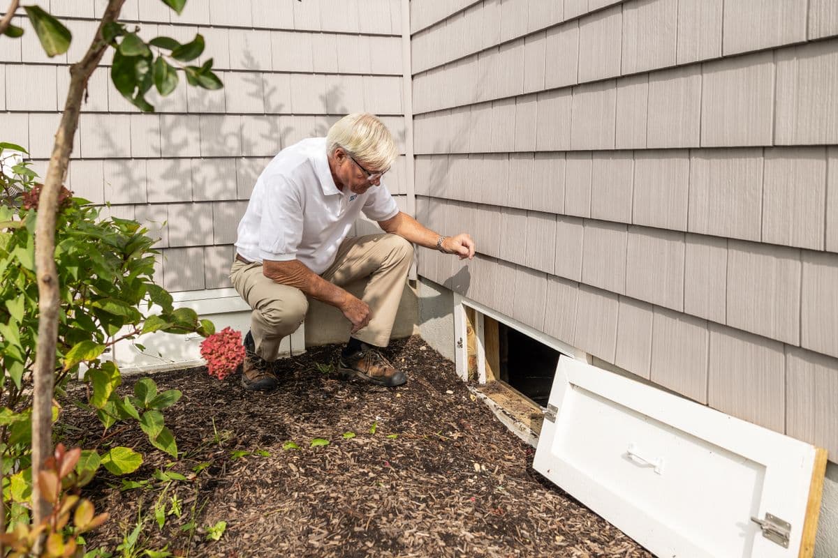 Pest Control